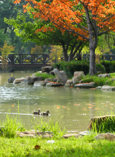 京城KING PARK_實境拍攝