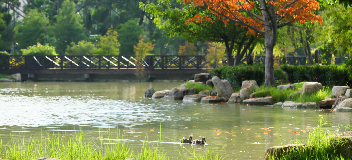 京城KING PARK_實境拍攝
